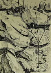 Un jeune arbre parmi les rochers