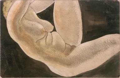Nu féminin avec jambe levée