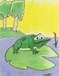 Grenouille Lily Pad, 2005 (crayon de couleur sur papier)