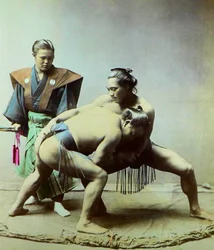 Lutteurs de sumo