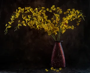 Nature morte à l