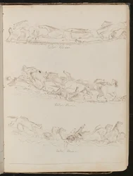 Trois études de chevaux galopant librement