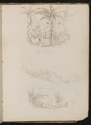 Trois études d