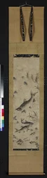 Poissons dans un lac