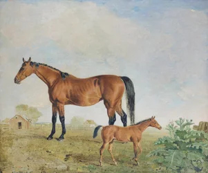 Les chevaux de M. Young, Benjamin et Lambert Marshall