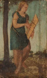 Femme avec bouclier