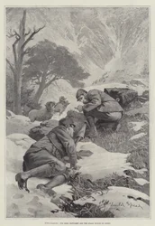 Chasse à la biche, le cerf dérangé et la traque ruinée par les moutons