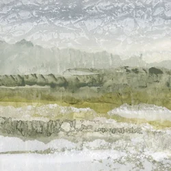 Paysage verdoyant et brumeux