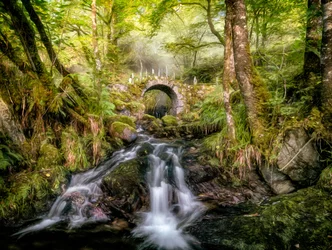 Pont sur le ruisseau de la Forêt enchantée