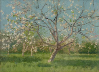 Arbres fruitiers en fleurs, 1900-10