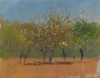 Arbres en fleurs, c.1880-90