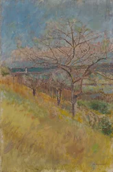 Vallée avec arbres en fleurs, 1890-1900