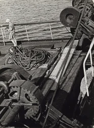 Photoreporter dans la mer Arctique du Nord