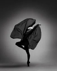 Élégant ballet noir