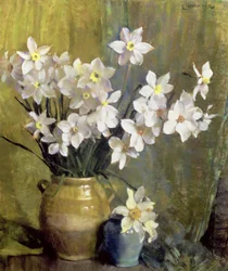 Narcisse