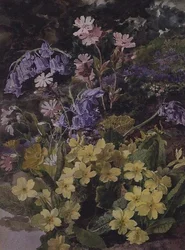 Étude de Fleurs