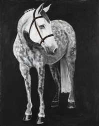 Cheval blanc 2, vers 2024 (acrylique sur toile)