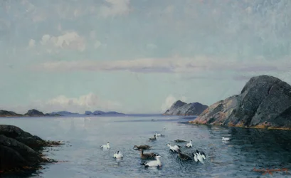 Côte sud avec oiseaux de mer