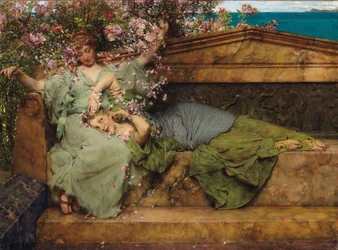 Dans un jardin de roses