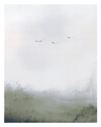Oiseaux volant au-dessus d