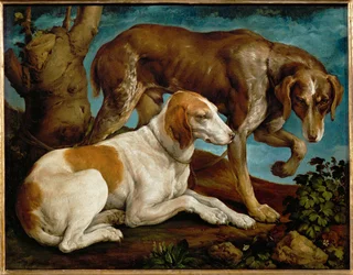 Deux chiens de chasse lies a une souche - Deux chiens de chasse attachés à une souche ...