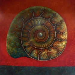 Ammonite rouge et verte