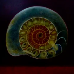 Ammonite verte, 2020