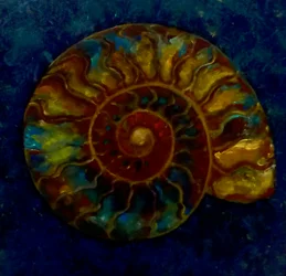 Ammonite vert doré