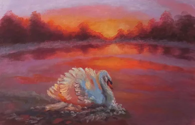 En avant, la natation du cygne, 2024