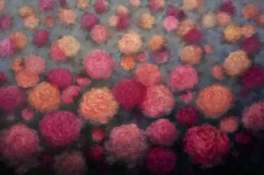 Peony Penché, 2025 (oil on canvas)
