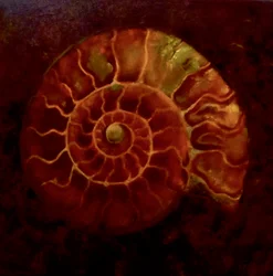 Ammonite rouge/or, 2020