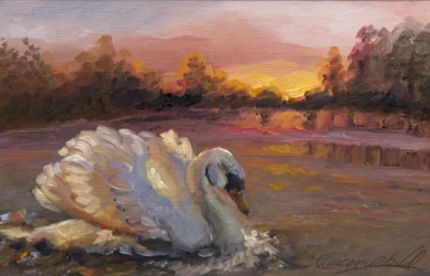 Cygne au lever du soleil, 2016