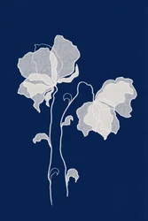 Fleurs blanches éthérées