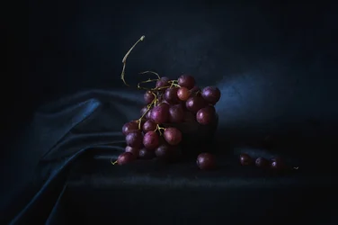 Raisins violets opulents
