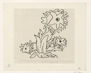 Fleurs