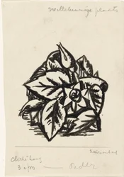 Fleurs