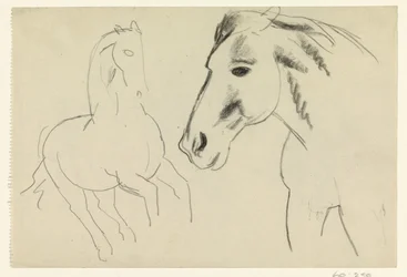Cheval galopant et tête de cheval