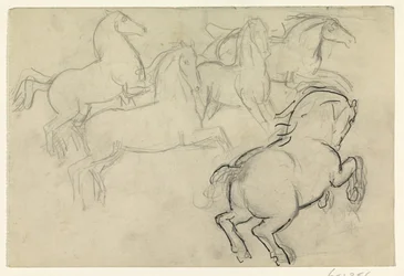 Chevaux galopant