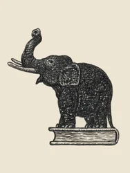 Éléphant sur un livre, 1935