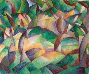 Oliveraie, Majorque