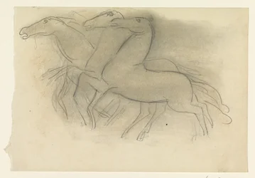 Chevaux au galop