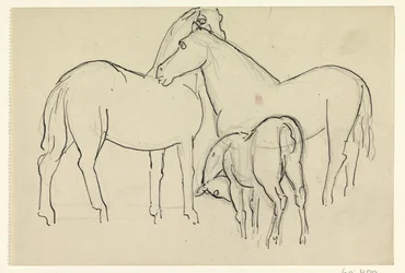 Deux chevaux et un poulain