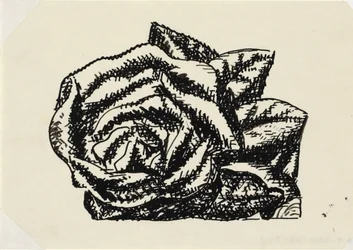 Sans titre (rose)
