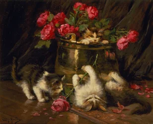 Chatons joueurs