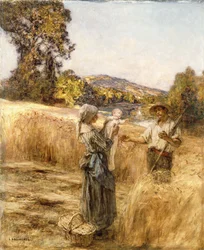 Repas du soir
