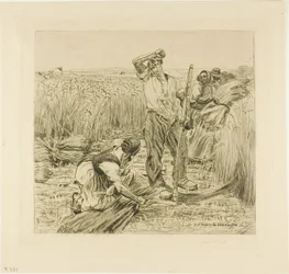 Récolte
