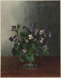 Bouquet de violettes