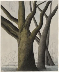 Grand arbre