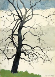 Arbre solitaire au bord de l
