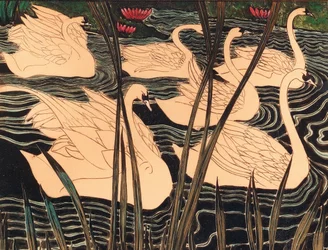 Cygnes